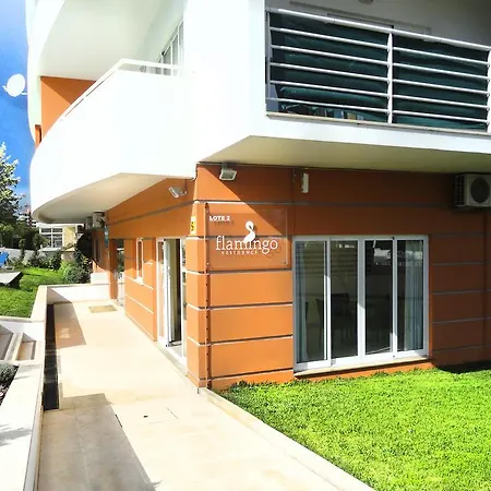 Flamingo 波尔蒂芒